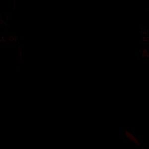 Meet your Posher, Meagen